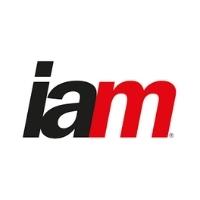Luiz Leonardos é recomendado pelo IAM Global Leaders